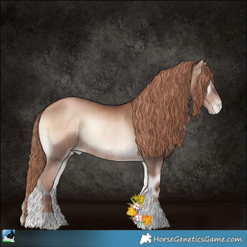 Horse Color:Liver Red Onyx Pearl Rabicano 