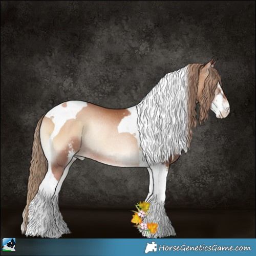 Horse Color:Red Onyx Pearl Sabino Tobiano Rabicano 
