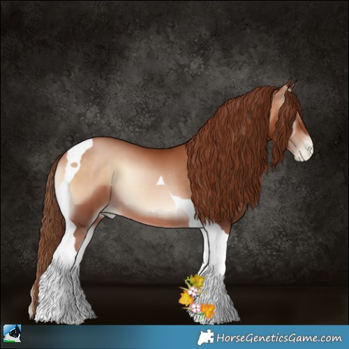 Horse Color:Brown Pearl Onyx Tobiano 
