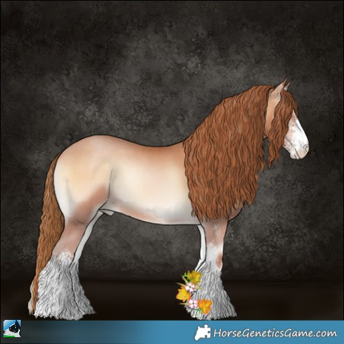 Horse Color:Bay Pearl Onyx Sabino 