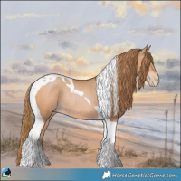 Horse Color:Bay Pearl Tobiano Rabicano 