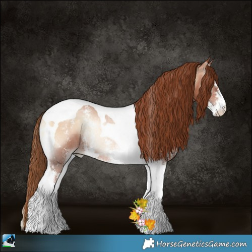 Horse Color:Brown Pearl Onyx Sabino Tobiano Rabicano 