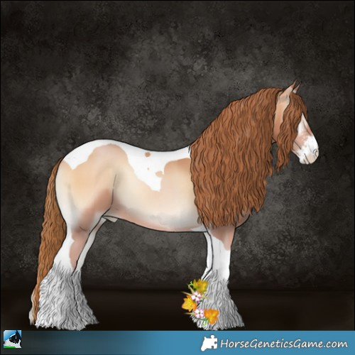 Horse Color:Bay Pearl Onyx Sabino Tobiano 