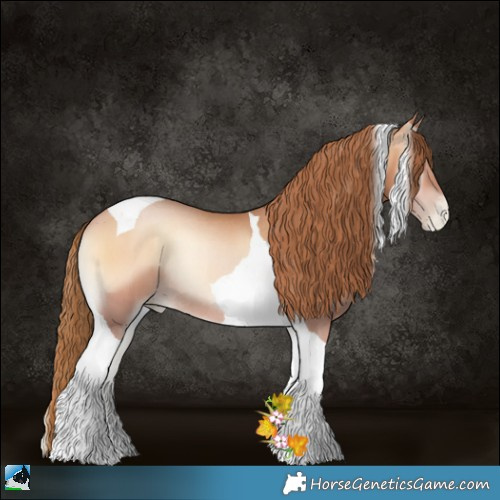 Horse Color:Bay Pearl Onyx Tobiano Rabicano 