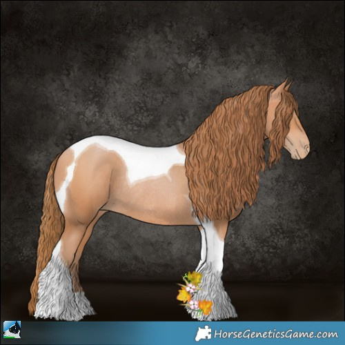 Horse Color:Bay Pearl Tobiano Rabicano 