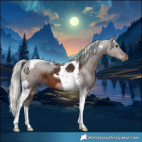 Horse Color:Silver Brown Tobiano 