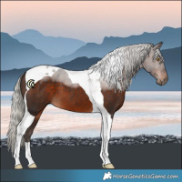 Horse Color:Silver Brown Tobiano