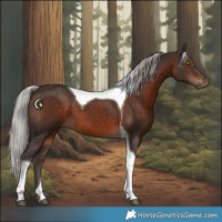 Horse Color:Silver Brown Tobiano
