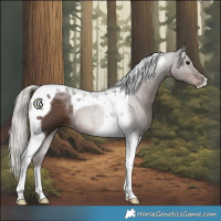 Horse Color:Silver Black Tobiano