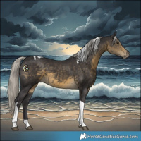Horse Color:Silver Smoky Black Tobiano 