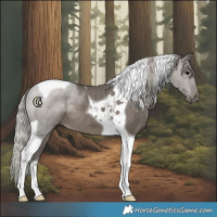 Horse Color:Silver Black Tobiano