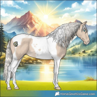 Horse Color:Cremello Tobiano 