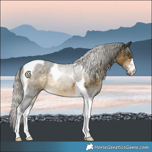 Horse Color:Silver Buckskin Tobiano
