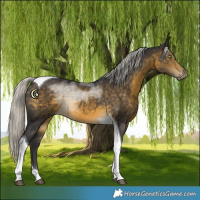 Horse Color:Silver Buckskin Tobiano