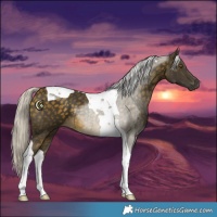 Horse Color:Silver Buckskin Tobiano 