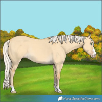 Horse Color:Silver Amber Cream Champagne Dun Rabicano 
