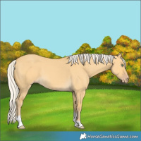 Horse Color:Silver Amber Cream Champagne Dun Tobiano 