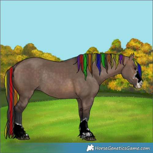 Horse Color:Painted Brown Dun Rabicano 