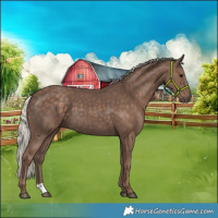 Horse Color:Silver Black 