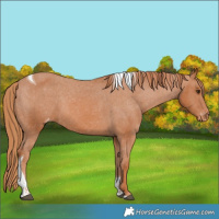 Horse Color:Chestnut Tobiano Varnish 