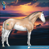 Horse Color:Silver Amber Champagne Splash 
