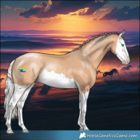 Horse Color:Silver Amber Champagne Splash
