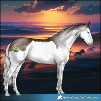 Horse Color:Gray Silver Bay Splash