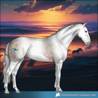 Horse Color:Gray Bay Splash 