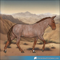 Horse Color:Red Roan Varnish 