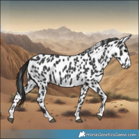 Horse Color:Black Leopard 