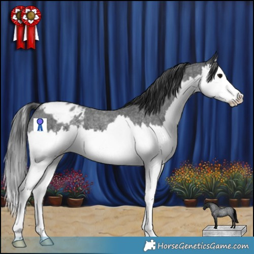 Horse Color:Blue Roan Splash Blanket 