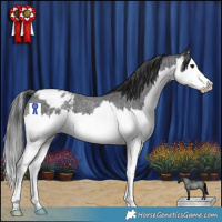 Horse Color:Blue Roan Splash Blanket
