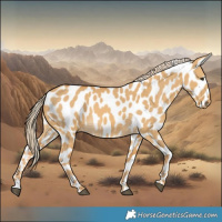 Horse Color:Palomino Dun Leopard 