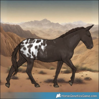 Horse Color:Liver Chestnut Blanket 