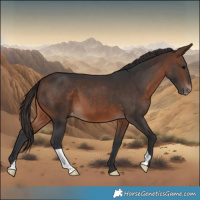 Horse Color:Brown Varnish 