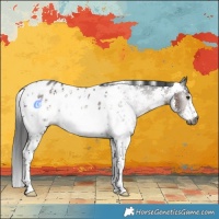 Horse Color:Gray Liver Chestnut Sabino Near Leopard Rabicano 