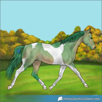 Horse Color:Watercolor Brown Dun Tobiano Rabicano 