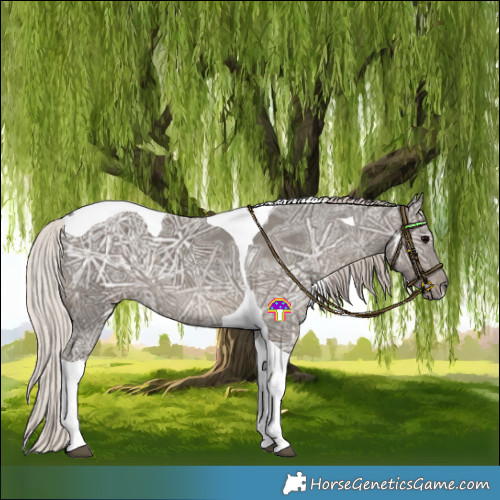 Horse Color:Silver Black Ice Tobiano 