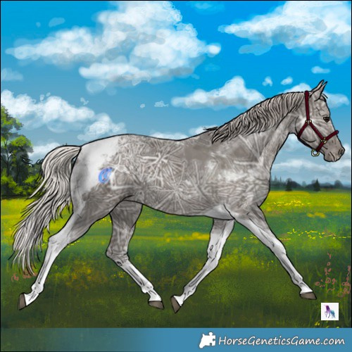Horse Color:Silver Black Ice Tobiano 