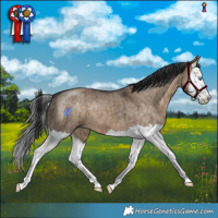 Horse Color:Brown Dun Splash Brindle 