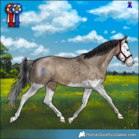Horse Color:Brown Dun Splash Brindle 