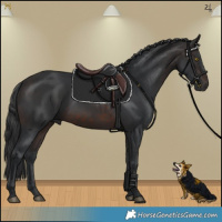 Horse Color:Brown 