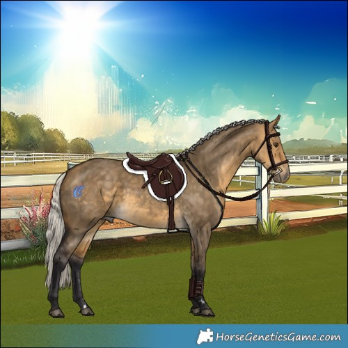 Horse Color:Silver Buckskin Dun 