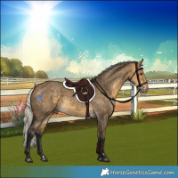 Horse Color:Silver Buckskin Dun 