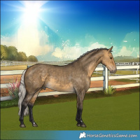 Horse Color:Silver Buckskin Dun 