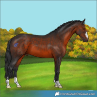 Horse Color:Brown Mushroom 