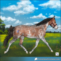 Horse Color:White Spotted Brown Ice Tobiano