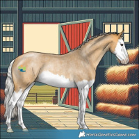 Horse Color:Silver Buckskin Roan Splash Rabicano 