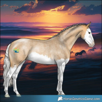 Horse Color:Silver Buckskin Roan Splash Rabicano 