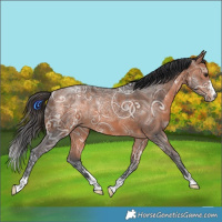 Horse Color:Bay Ice Rabicano 